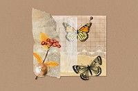 Autumn butterfly aesthetic collage background