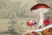 Mushroom background, autumn design 