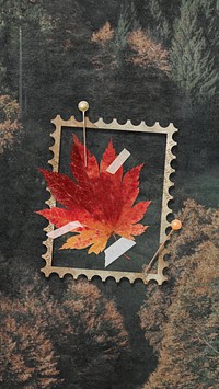 Maple leaf illustration iPhone wallpaper