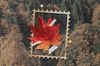 Maple leaf background, autumn design 