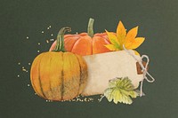 Aesthetic Autumn pumpkin, paper  background