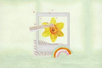 Easter instant photo frame, daffodil flower remix illustration