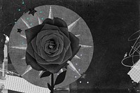 Black rose background, aesthetic paper collage