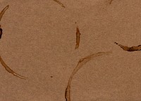 Coffee cup stain background, brown design