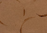 Coffee cup stain background, brown design