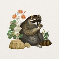 Raccoon, wildlife botanical remix collage element