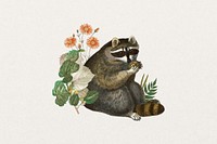 Raccoon, wildlife botanical remix collage element