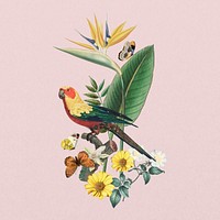 Sun parakeet bird, exotic botanical remix collage element