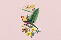 Sun parakeet bird, exotic botanical remix collage element