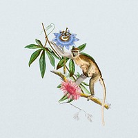Grivet monkey, wildlife botanical remix collage element