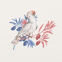 Vintage cockatoo bird, exotic animal collage element 