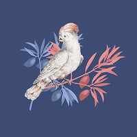 Vintage cockatoo bird, exotic animal collage element 