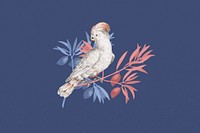 Vintage cockatoo bird, exotic animal collage element 