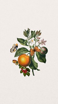 Vintage orange branch mobile wallpaper, butterfly and fruit illustration