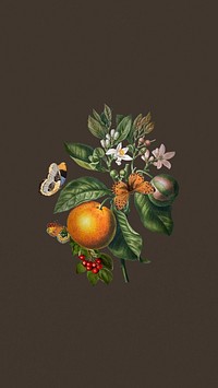 Vintage orange branch mobile wallpaper, butterfly and fruit illustration
