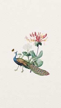 Aesthetic flower peacock iPhone wallpaper, vintage bird background