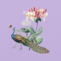 Floral peacock, vintage botanical collage element