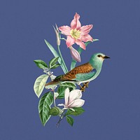 European roller bird, exotic botanical remix collage element