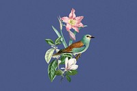 European roller bird, exotic botanical remix collage element