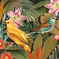 Exotic birds pattern background, jungle illustration