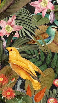 Exotic birds pattern mobile wallpaper, jungle illustration