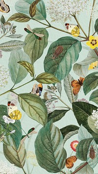 Exotic butterfly pattern mobile wallpaper, vintage botanical illustration