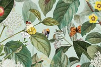 Exotic butterfly pattern background, vintage botanical illustration