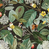 Exotic butterfly pattern background, vintage botanical illustration