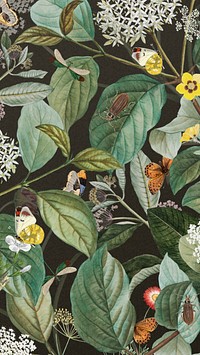 Exotic butterfly pattern mobile wallpaper, vintage botanical illustration