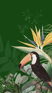 Toco toucan bird phone wallpaper, green exotic plant border