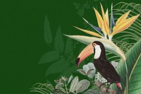 Toco toucan bird background, green exotic plant border