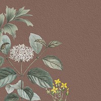 Vintage elderflower background, brown textured design