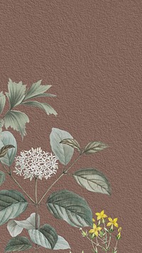 Vintage elderflower iPhone wallpaper, brown textured background