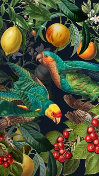 Tropical birds pattern mobile wallpaper, jungle illustration