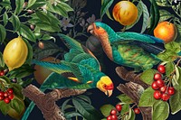 Tropical birds pattern background, jungle illustration