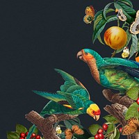 Exotic parrot birds background, botanical border