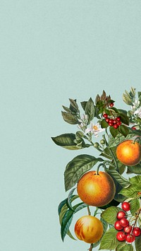 Vintage orange branch iPhone wallpaper, blue botanical border background