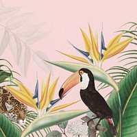 Toco toucan bird background, pink exotic plant border