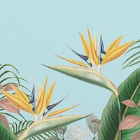 Bird of paradise background, blue exotic plant border