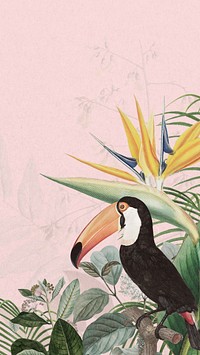 Toco toucan bird phone wallpaper, pink exotic plant border