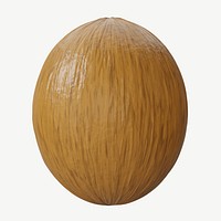 3D coconut fruit, collage element psd