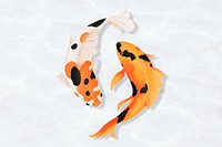 Koi fish couple background, aesthetic paint illustration