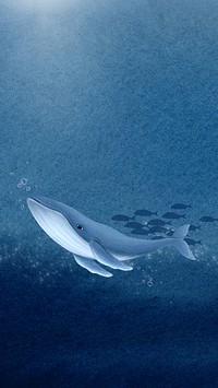 Humpback whale, ocean iPhone wallpaper background