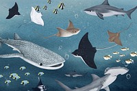 Marine life animals background, aesthetic paint illustration