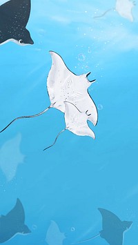 Stingray underwater world iPhone wallpaper background