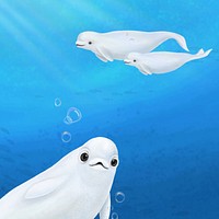 Cute beluga whale, blue background, aesthetic paint illustration