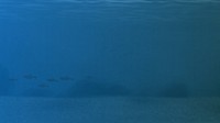 Deep blue ocean desktop wallpaper background