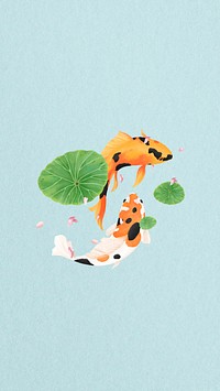 Koi fish iPhone wallpaper background