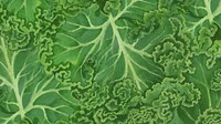 Kale vegetable desktop wallpaper, green background