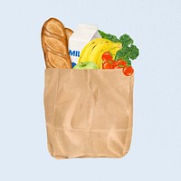 Healthy food grocery bag illustration